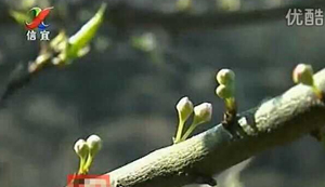 ����Ǯ�����������ʢ��ʱ�� ϲ���ۿ������Ѳ��ݴ���